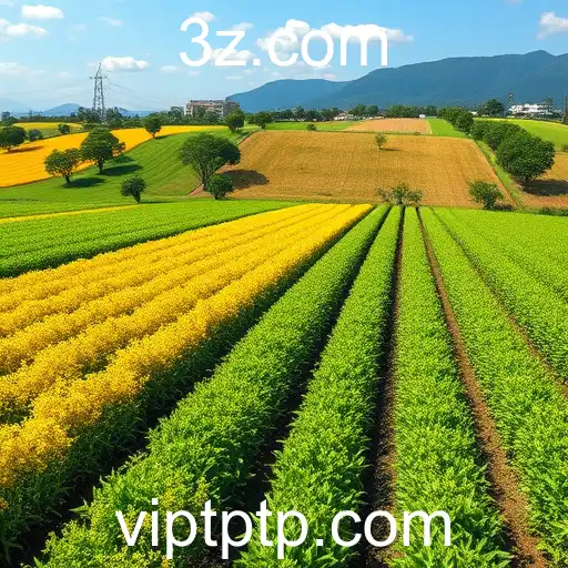 TPTP Revoluciona o Mundo dos Jogos Online